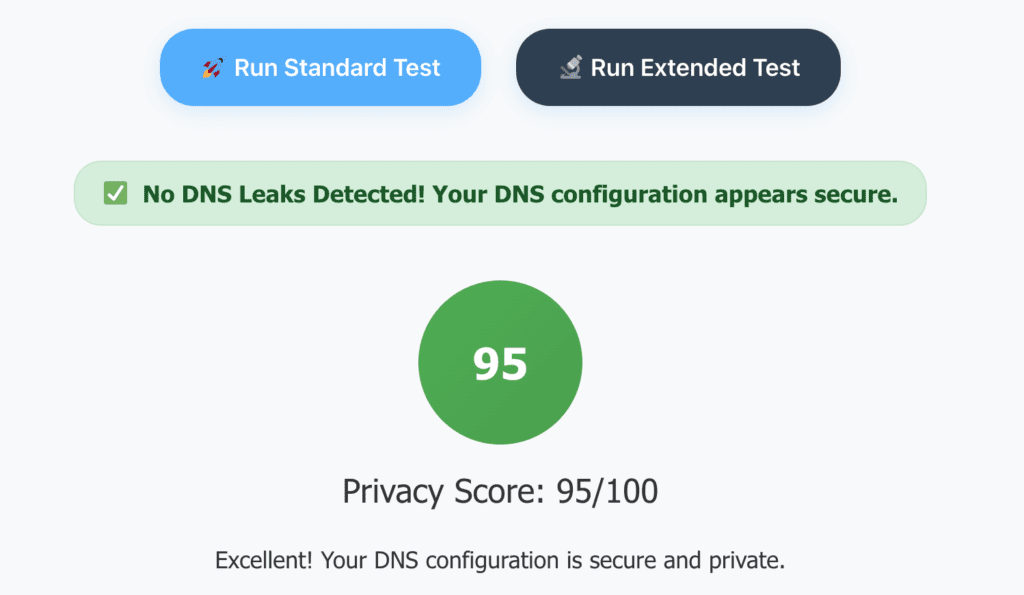 DNS Score